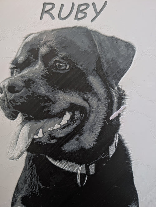 Portrait animaux